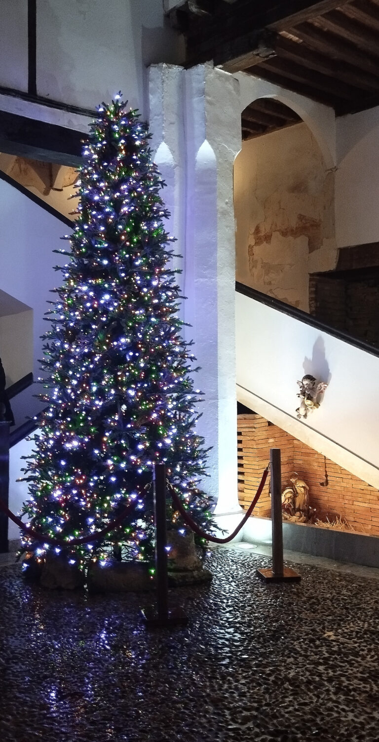 PROGRAMACIÓN FUNDACIÓN ANTEZANA DICIEMBRE Y NAVIDAD 2024- 2025