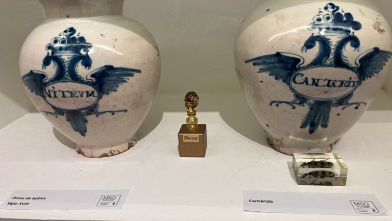 Piedra Bezoar, remedios de otros tiempos en la botica del Hospital de Antezana