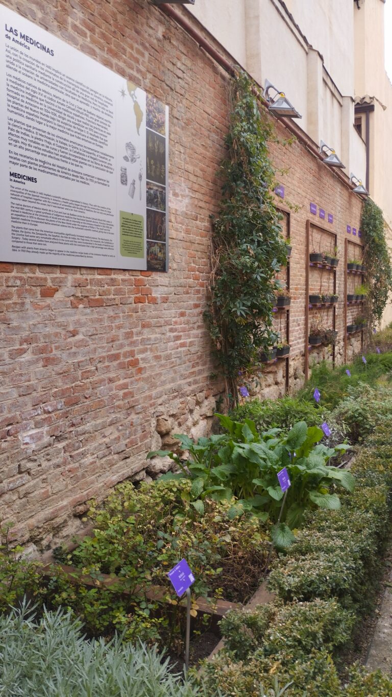 El jardín del Boticario, Hospital de Antezana